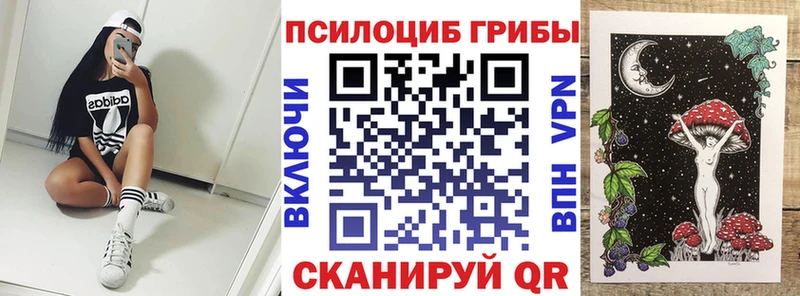 Галлюциногенные грибы прущие грибы  Карачаевск 